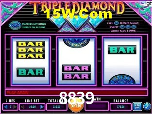 8839 Belo Horizonte - Payments