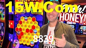 Premium Interface 8839